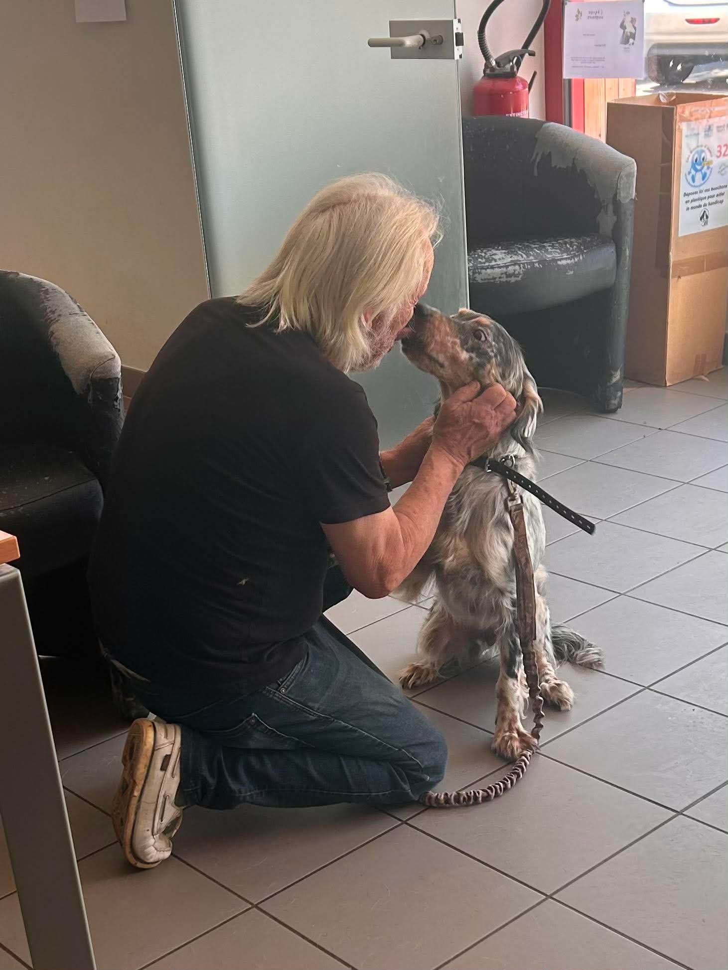 Volée il y a près de deux ans en Gironde, une chienne découverte errante à Fleurance retrouve enfin son maître