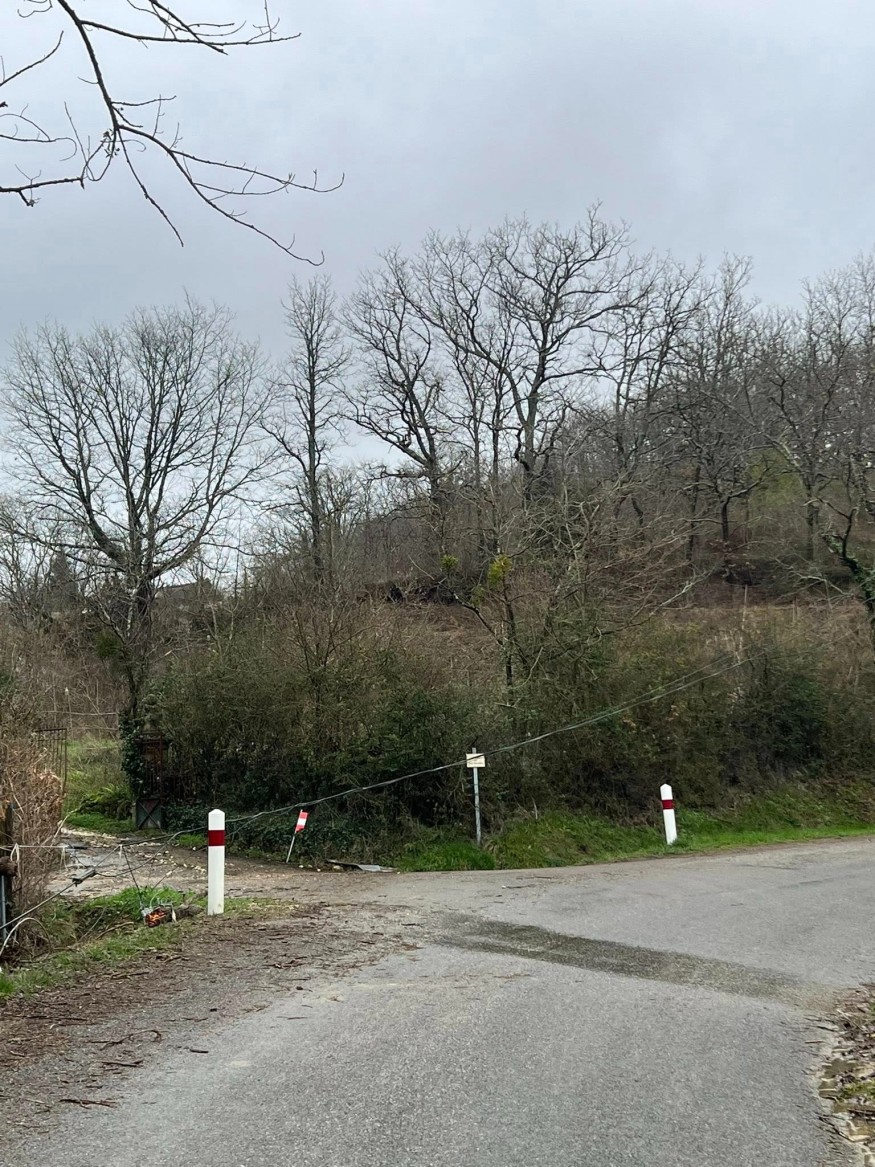 Tempête Pedro ce mercredi : le Département invite à la prudence sur les routes en raison du risque de nouvelles chutes d’arbres