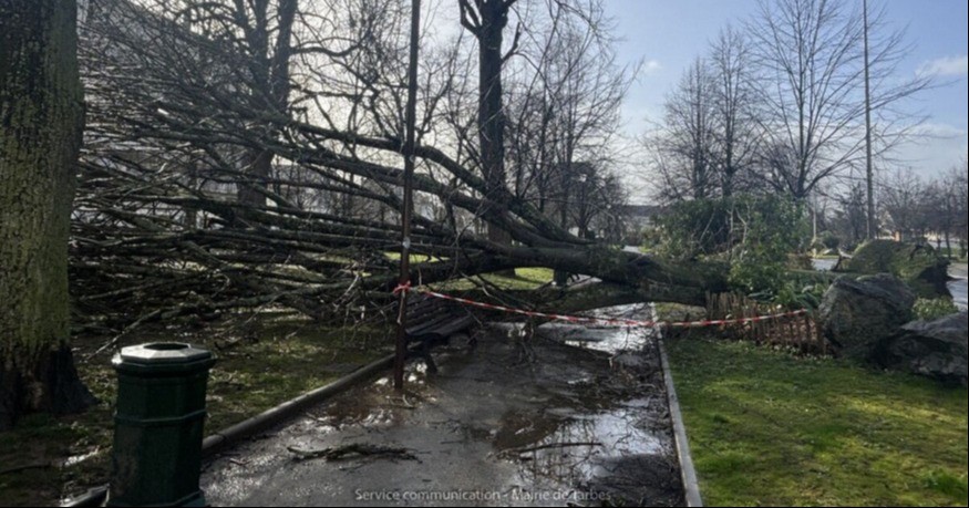Tempête Nils : trois communes du Gers reconnues en état de catastrophe naturelle