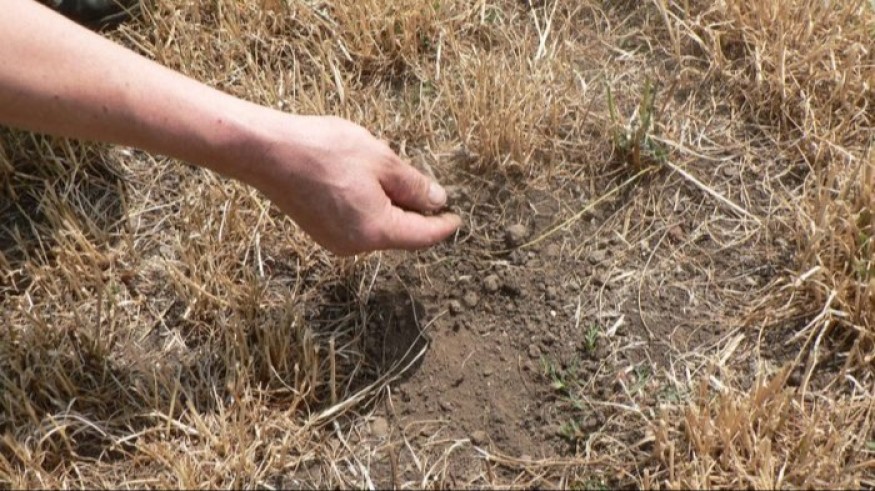 Reconnaissance de l'état de catastrophe naturelle pour sécheresse de cinq communes gersoises