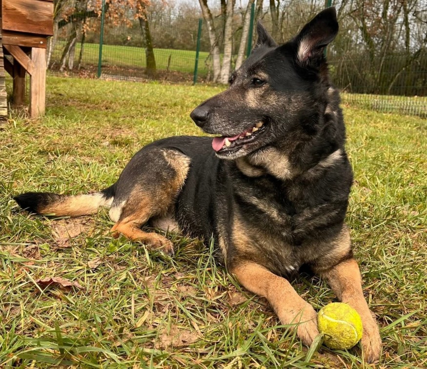 Mia, l'animal de la semaine