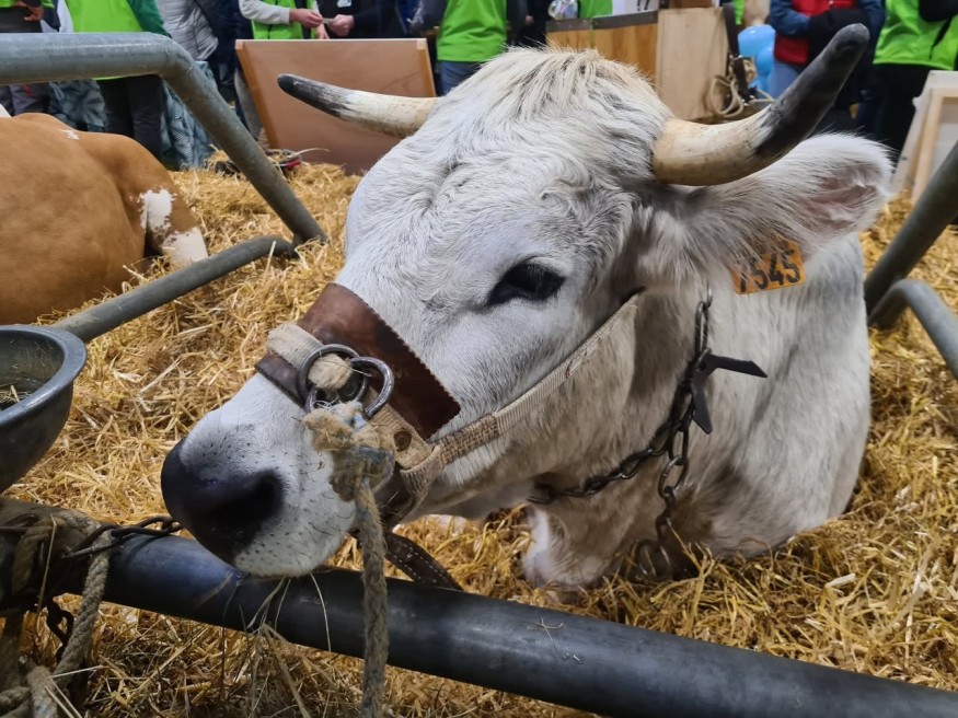 Hautes-Pyrénées : 3,2 millions d'euros investis par l'Etat dans la lutte contre la DNC
