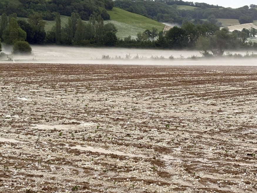Violents orages du 10 mai : la Chambre d'Agriculture du Gers déplore plus de 20 000 hectares de cultures ravagées par la grêle