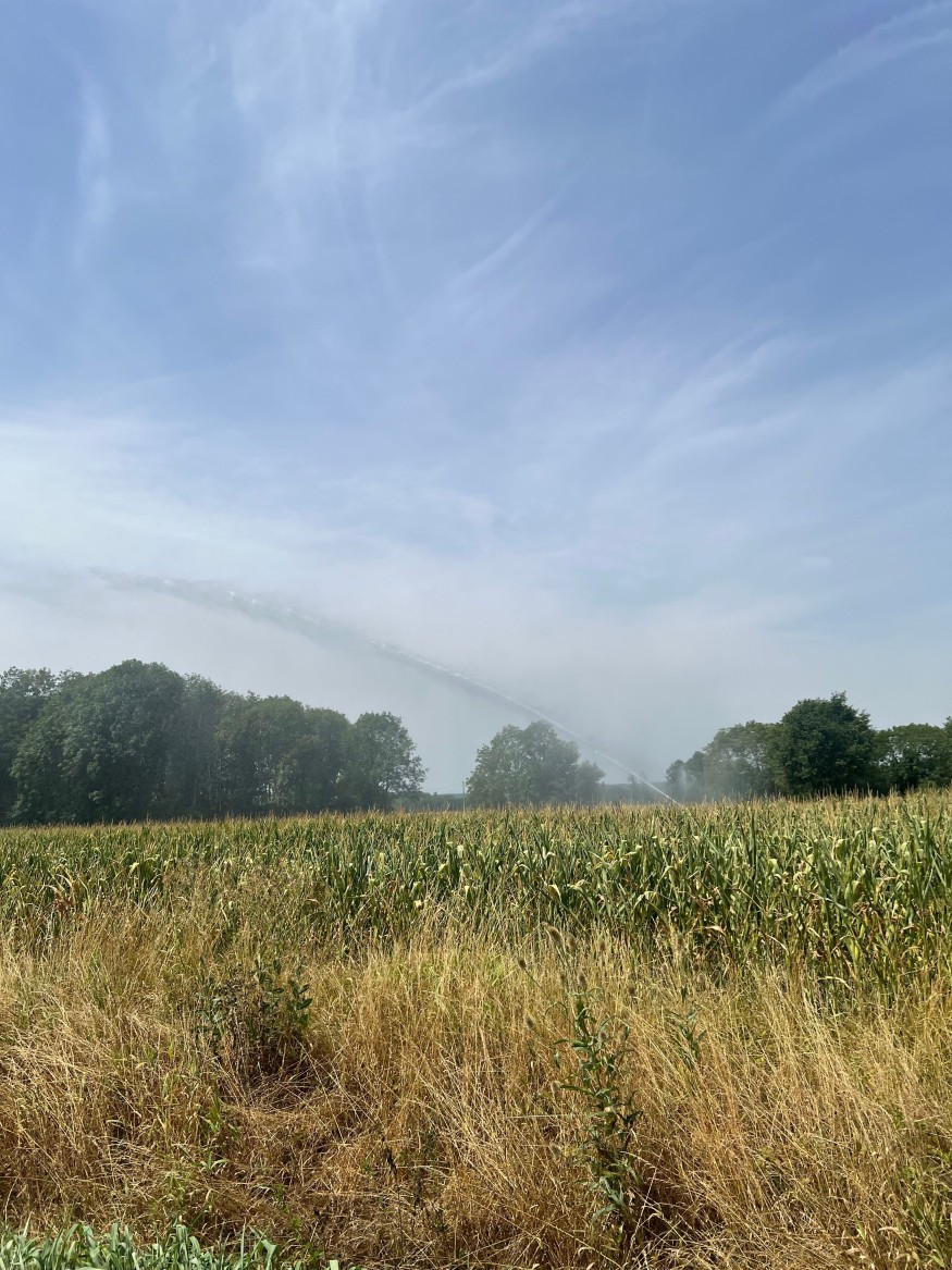 Restrictions d'usage de l'eau : le président de la Chambre d'agriculture du Gers réclame le retrait de l'arrêté, dénonçant des préjudices économiques majeurs