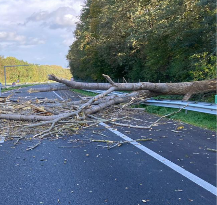Hautes-Pyrénées : un arbre tombe sur deux voitures circulant sur l’A64