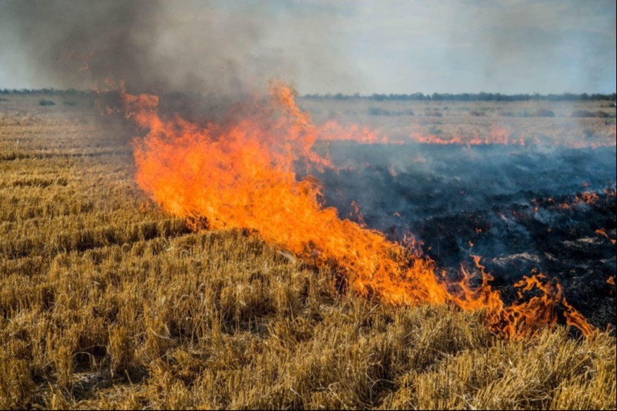 Gers : 30 hectares brûlés dans un important incendie à Caillavet