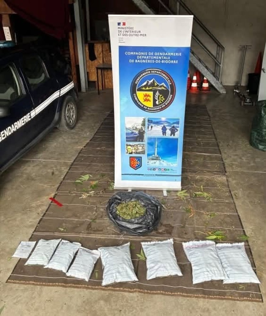 Hautes-Pyrénées : les gendarmes remontent la piste de plusieurs cultures de cannabis