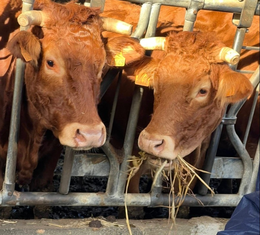 Sécheresse : une nouvelle aide de 1,4 million d’euros pour les agriculteurs gersois
