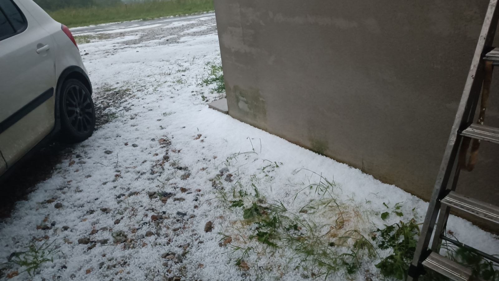 1000013144.jpg (187 KB)