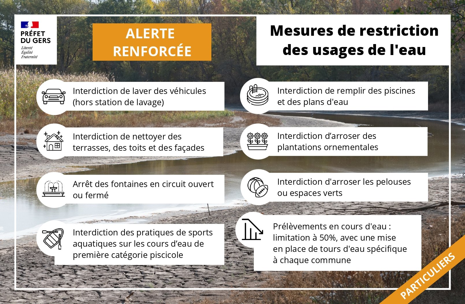 298691469_428089692686363_432274173650749882_n.jpg (439 KB)