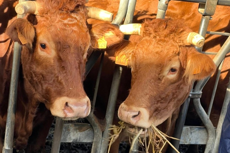 Hautes-Pyrénées : point de situation sur la DNC