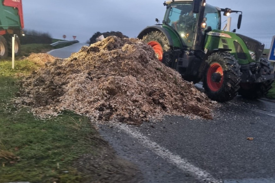 DNC : la chambre d'agriculture fait un point de situation dans les Hautes-Pyrénées