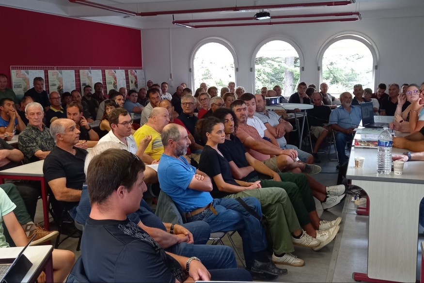 Colère agricole : la chambre d'agriculture et la maison de l'élevage invitent les agriculteurs gersois à une grande réunion ce vendredi matin