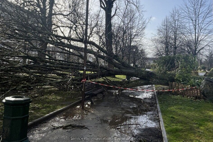 Après le passage de la tempête Nils, la ville de Tarbes contrainte de fermer ses parcs et jardins pour plusieurs jours