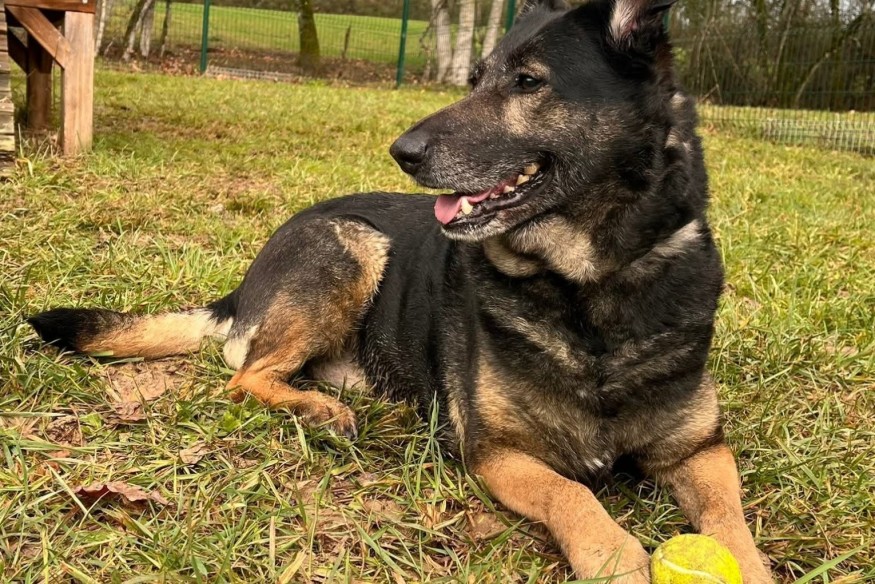 Mia, l'animal de la semaine