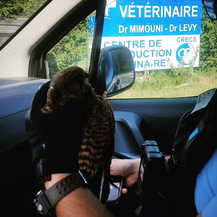 385771908_697749232388339_3284908671921717679_n.jpg (119 KB)